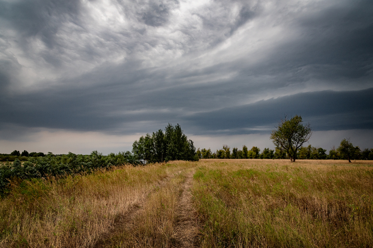 Главное  с рыбалки - вовремя ухеать)