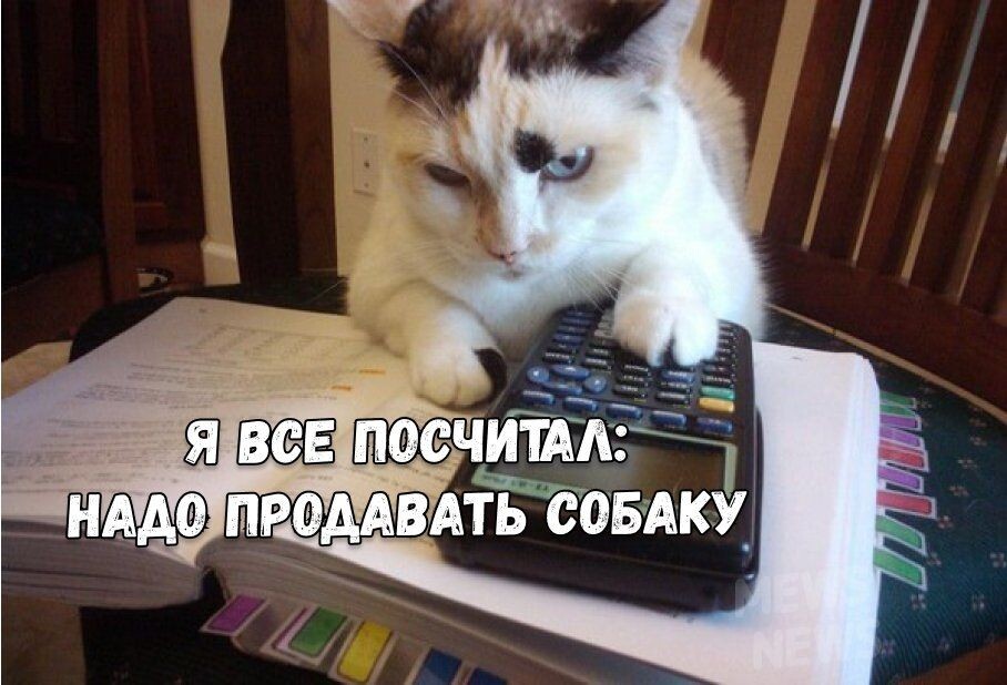 Источник Яндекс картинки