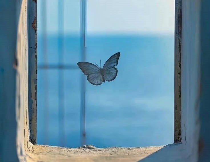 ГОЛУБОЙ ХРОМО-ТИП