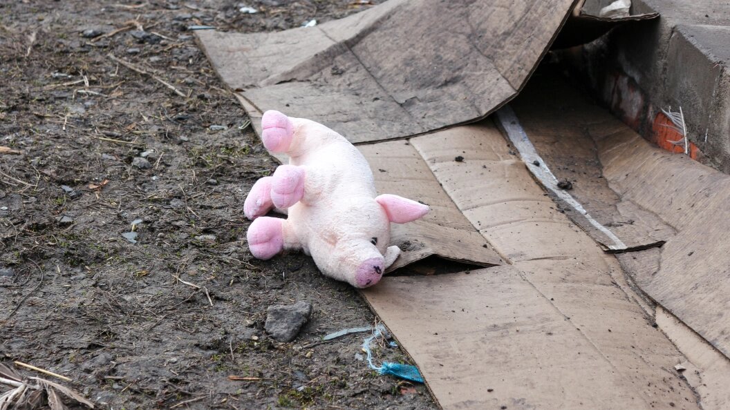    Konopatov Yuri/news.ru/Globallookpress