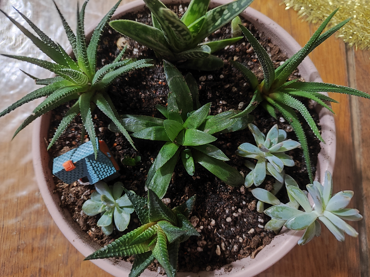 сразу после посадки