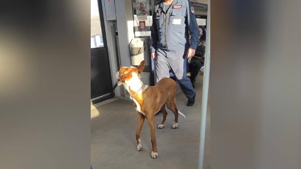    Фото: vk.com/Красный Бор ВКонтакте