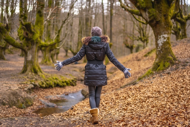 Создать карусель<a href="https://ru.freepik.com/free-photo/young-woman-walking-otzarreta-forest-natural-park-gorbea-bizkaia-basque-country_22860222.htm">Изображение от wirestock на Freepik</a>