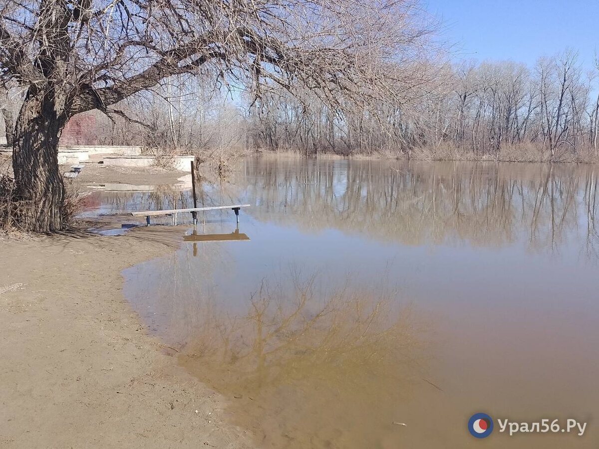    К вечеру уровень Сакмары вырос на пару сантиметров, Урал в Орске продолжает падать
