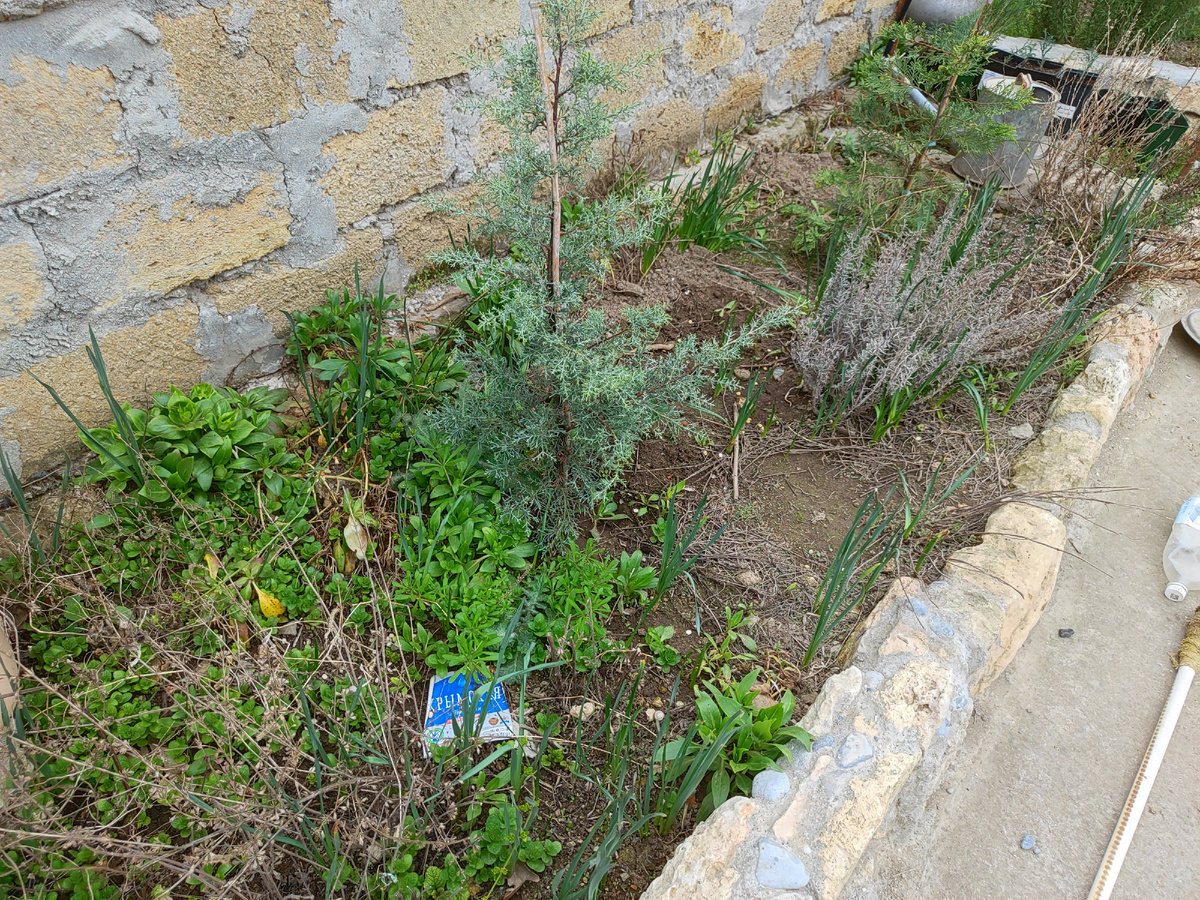 После зимы так