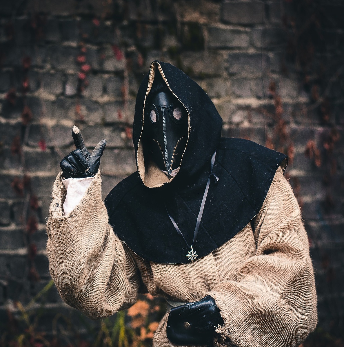 Чумной  доктор .Моя  работа.