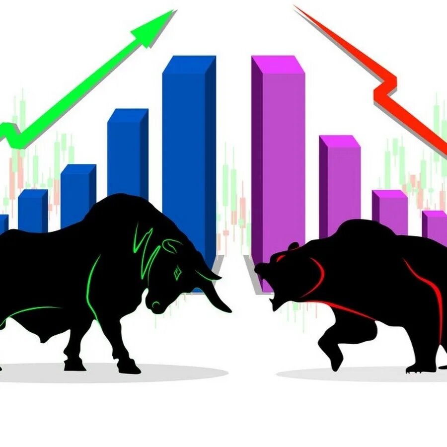 Медведи и быки на рынке