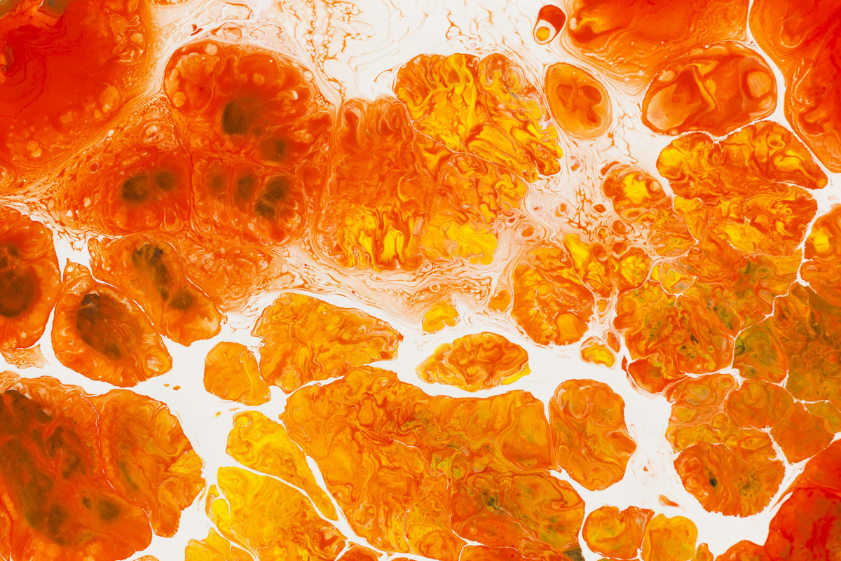    В древности на месте ледяной пустыни росли тропические леса. Фото: Freepik