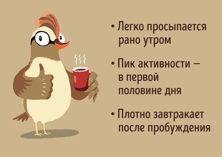 Фото из открытых источников. 