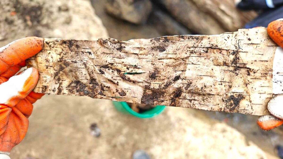 Так выглядела найденная в вечной мерзлоте берестяная грамота Сейчас находки очищены, законсервированы и оцифрованы. Источник: t.me/aisen_nikolaev