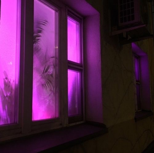 Наверное каждый, до того как стал цветоводом, задумывался: что за странный свет из окон? Фото из Pinterest