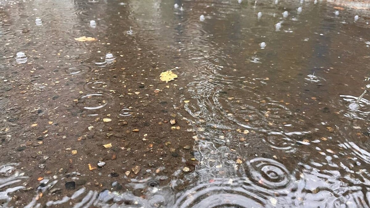    Фото: телеканал «Краснодар»