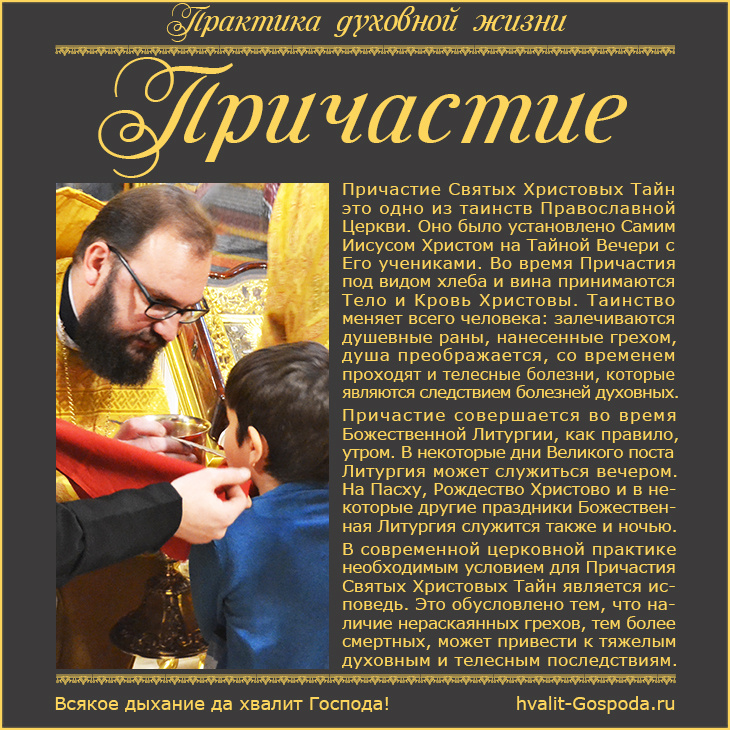 Фото Ирины Дмитриевой. Hvalit-Gospoda.ru