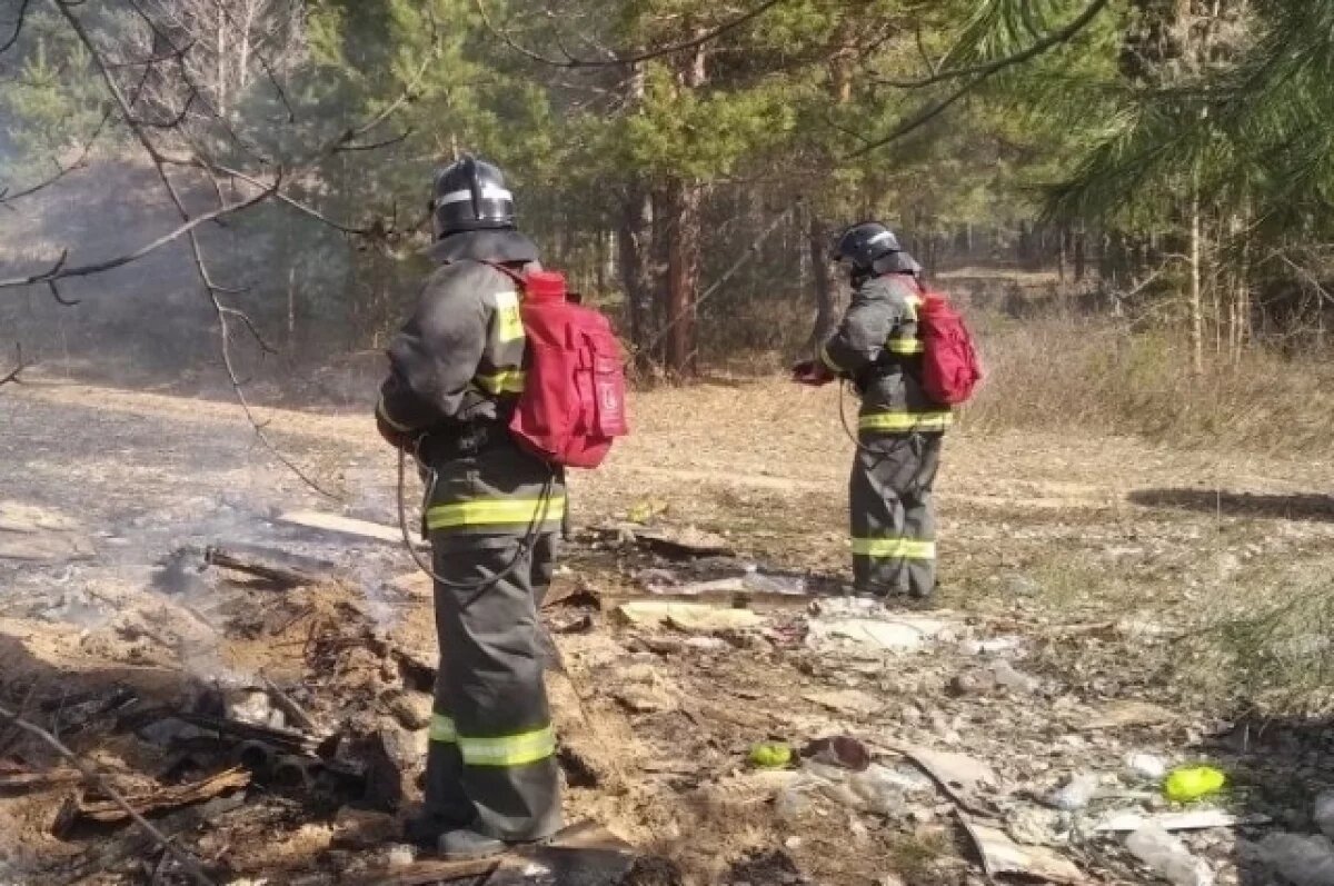    Возле Майской горы в Ульяновске горела несанкционированная свалка