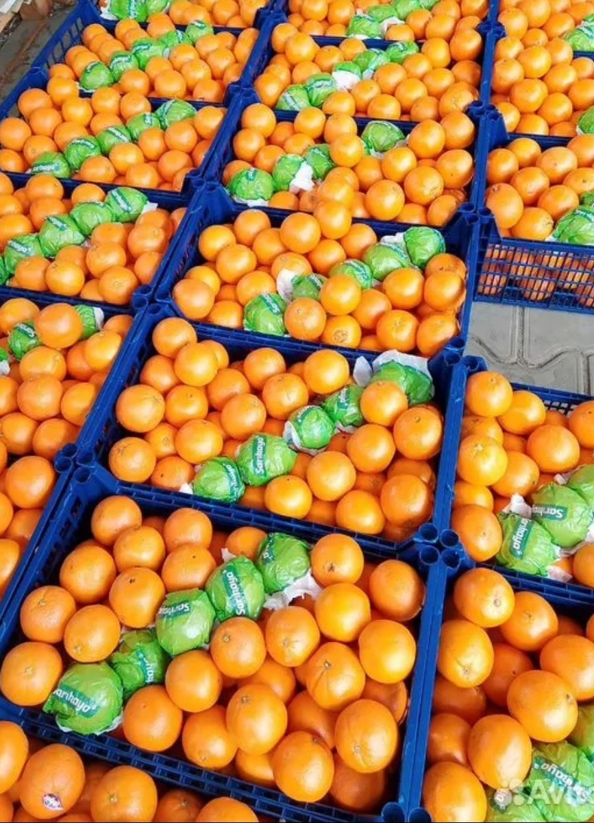 Один из них наш)