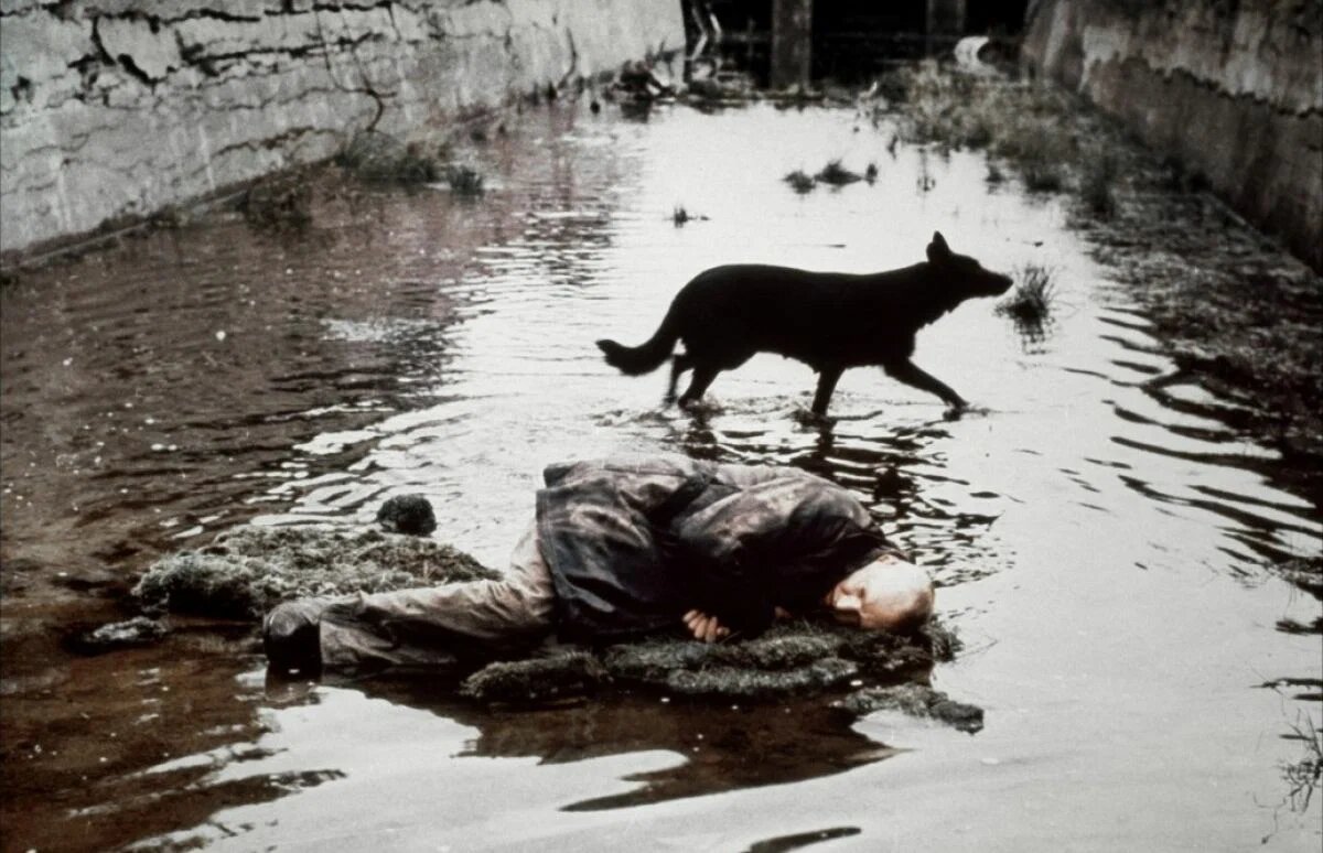 Кадр из фильма «Сталкер» (1979)