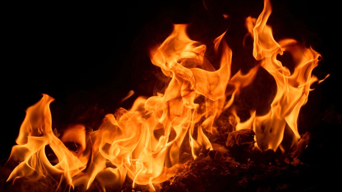    Фото: Korneliia Lutso/Shutterstock/Fotodom