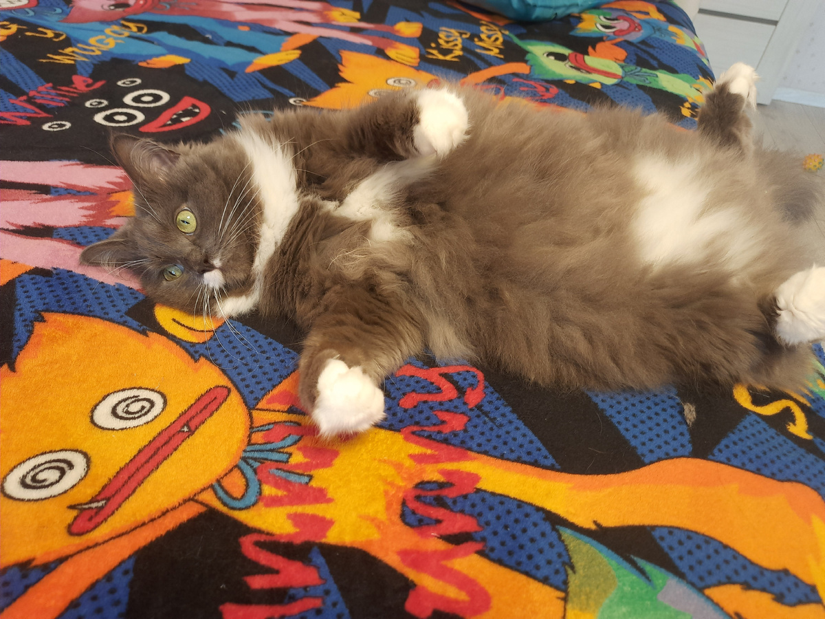  Спокойной  ночи всем 🤗😻