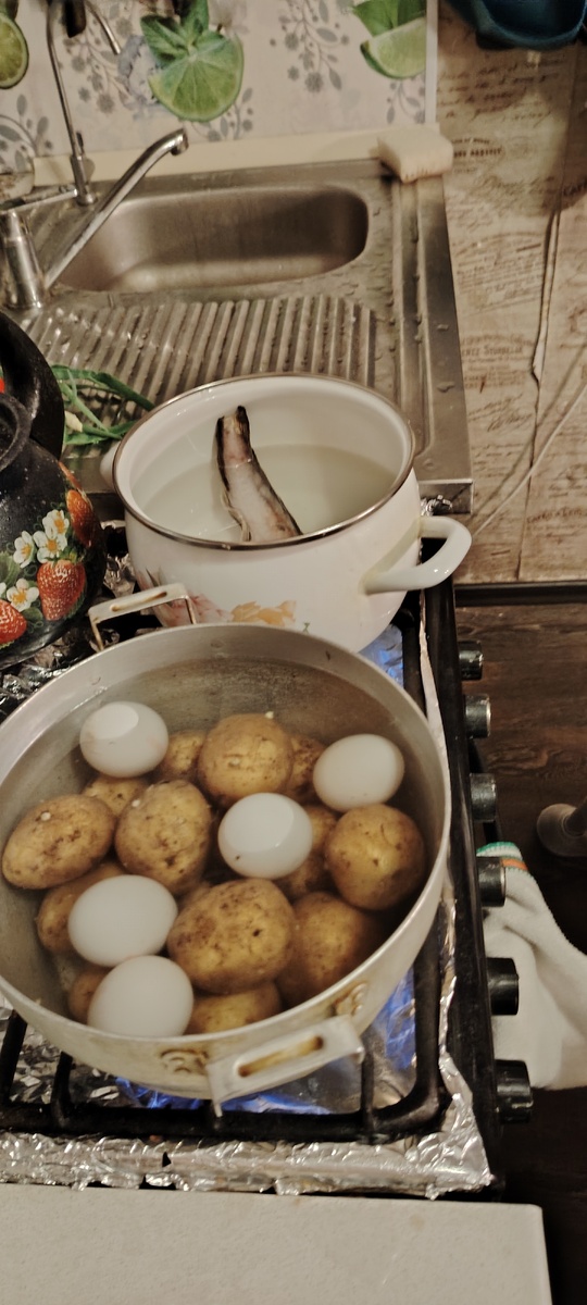 Фото автора поставила яйцо и картошку варится на окрошку и за одно сварю рыбный суп из "креветочной" рыбки