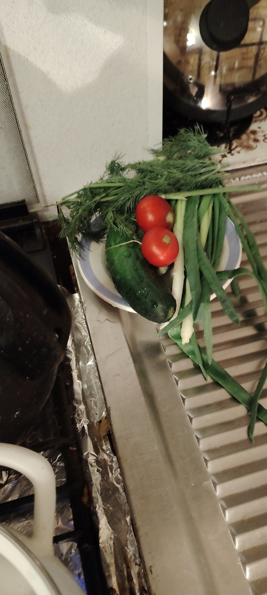 Фото автора. Лук зелёный, огурчик, редиска, укроп. 