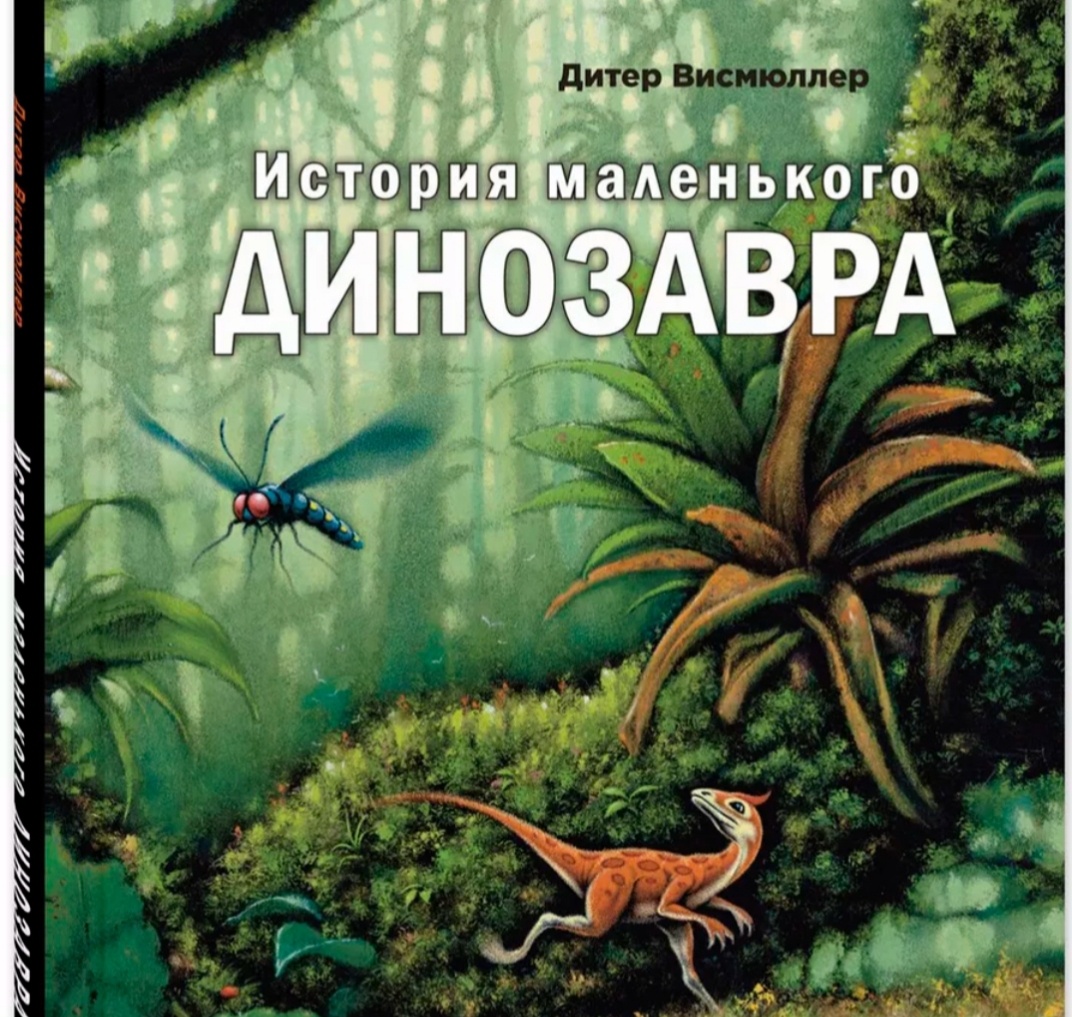 Обложка книги, фото из интернета