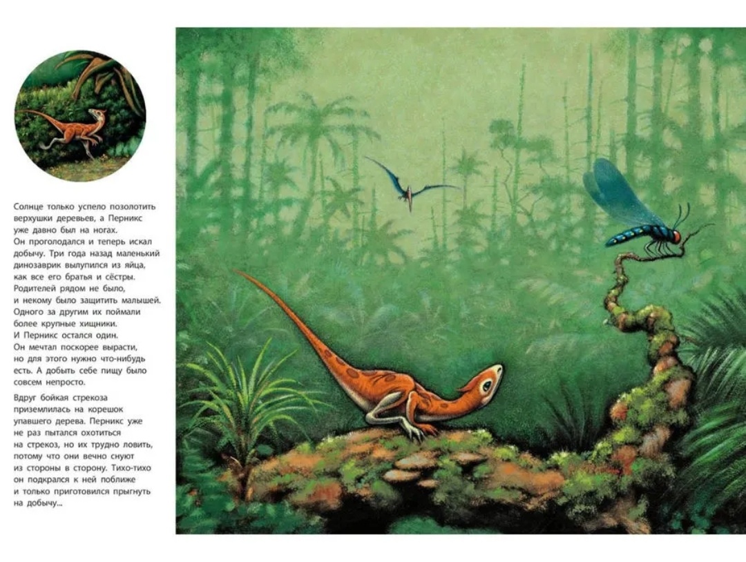 Книгу эту я брала в библиотеке, так что фотографий своих не сохранилось, все будет из интернета