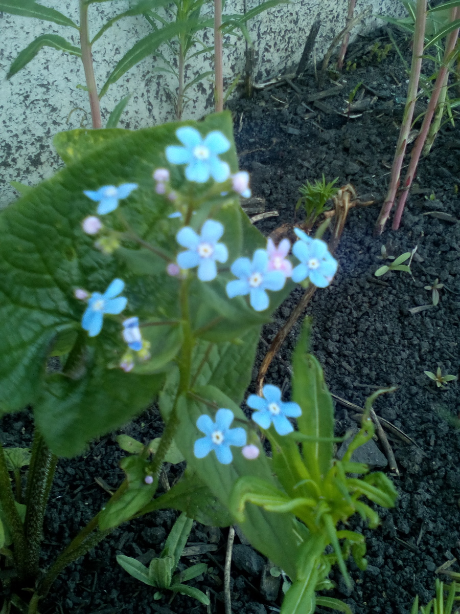 личное фото автора