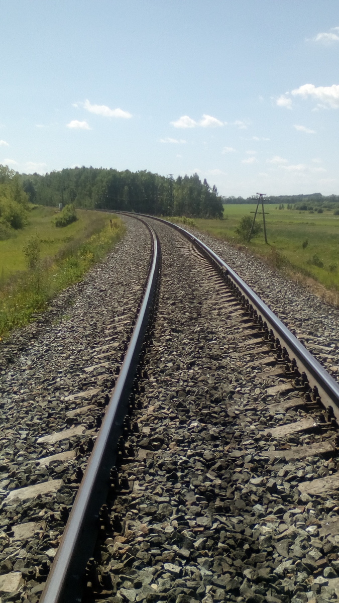 личное фото автора 