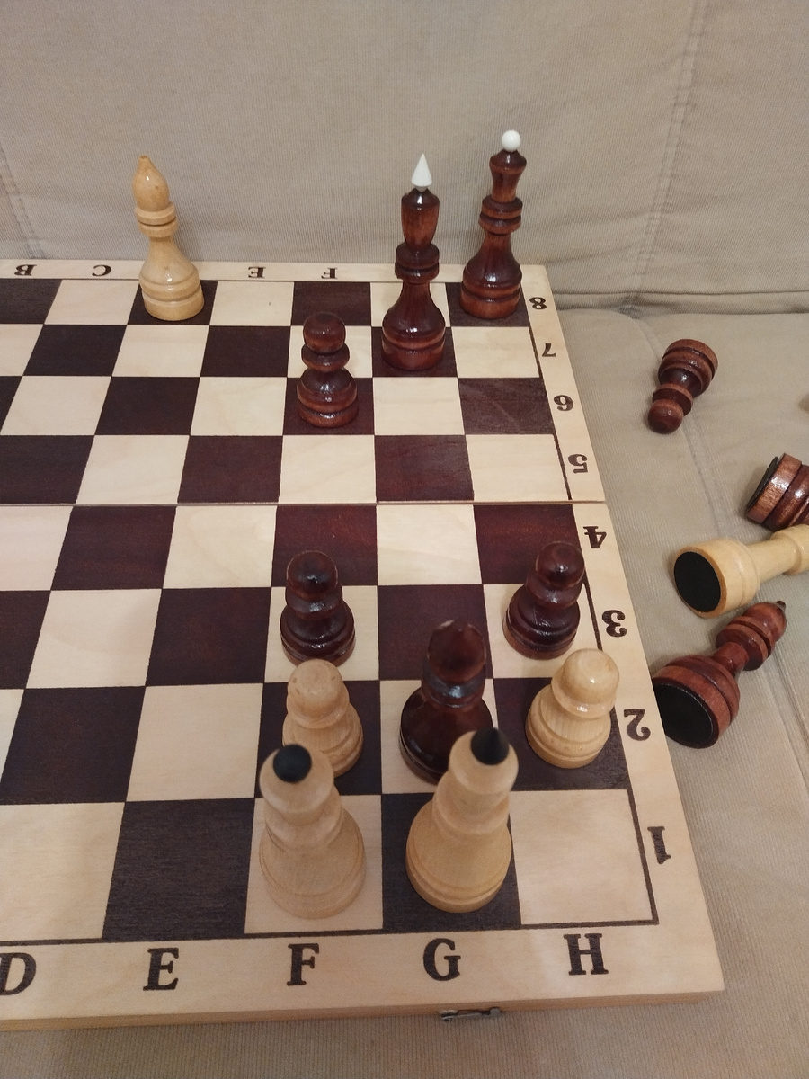 Фото автора.