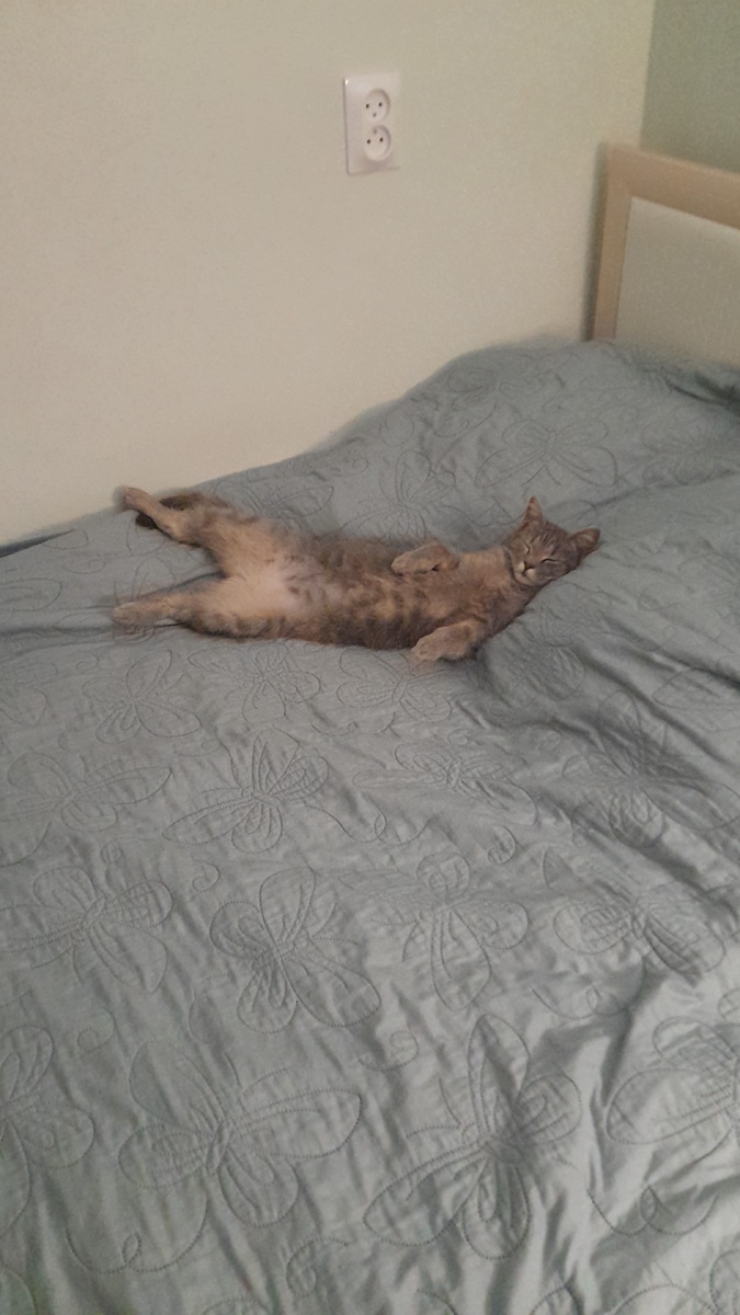 Уставший от всех этих заморочек автор ))