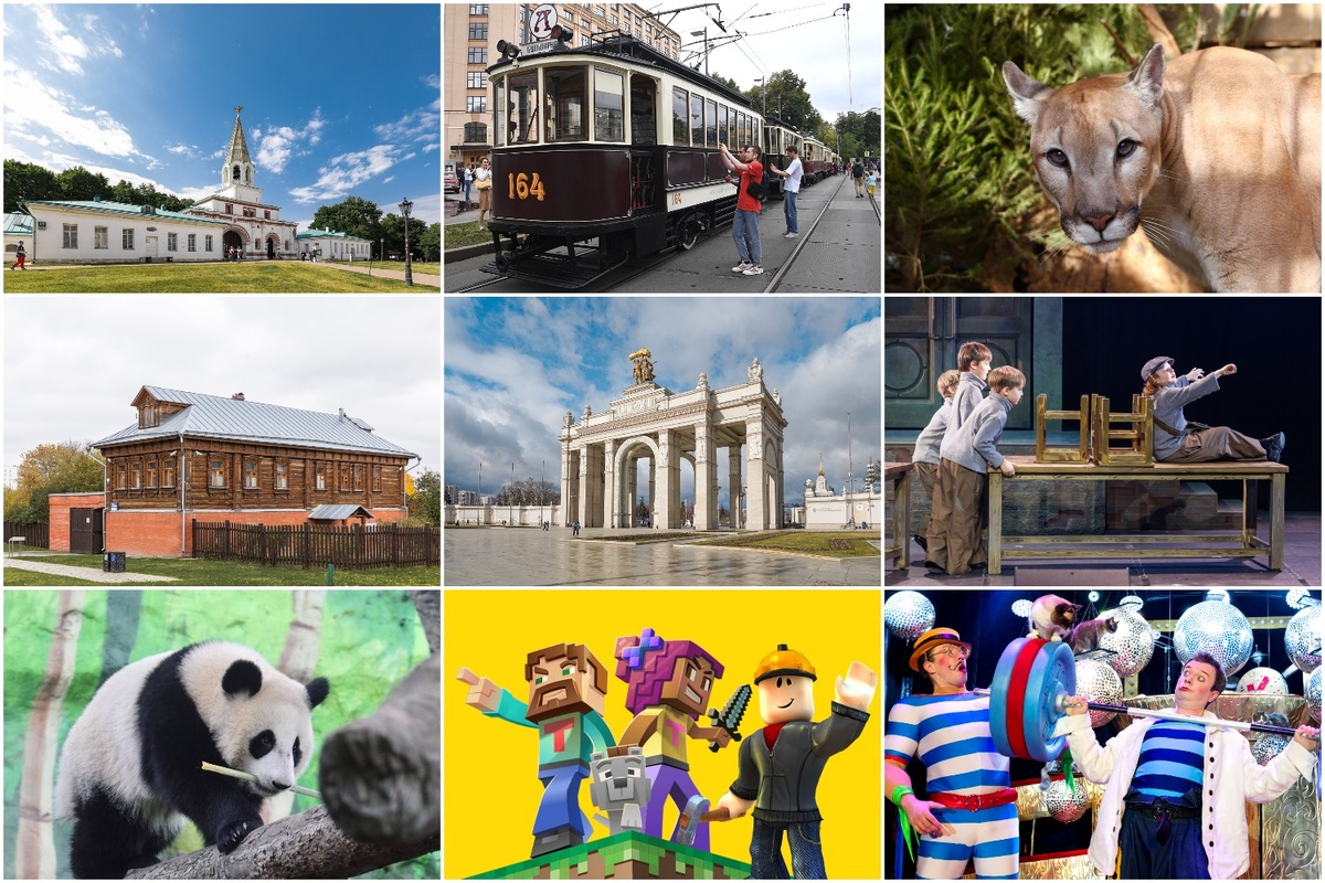 Куда пойти с детьми в Москве на выходных 5-6 апреля? Подборка от kids-week.ru