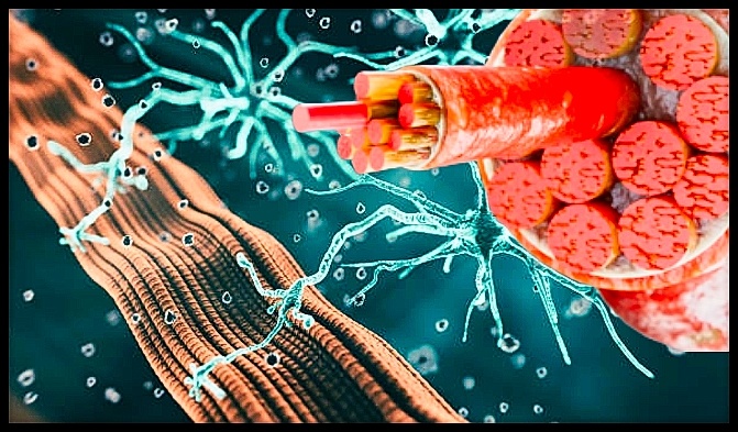 Источник: www.istockphoto.com