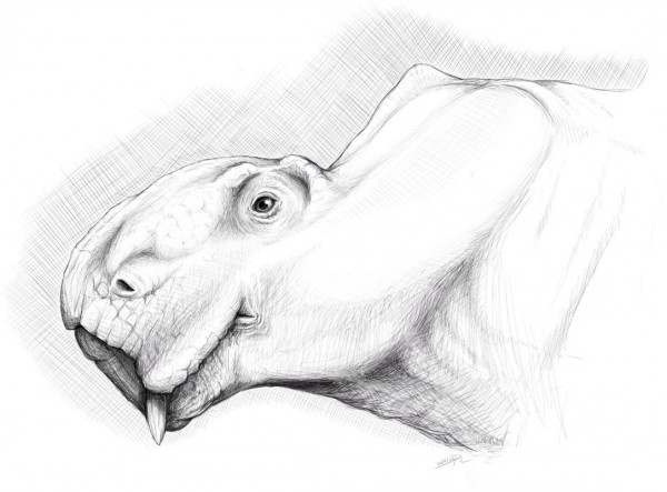 Портретная реконструкция.