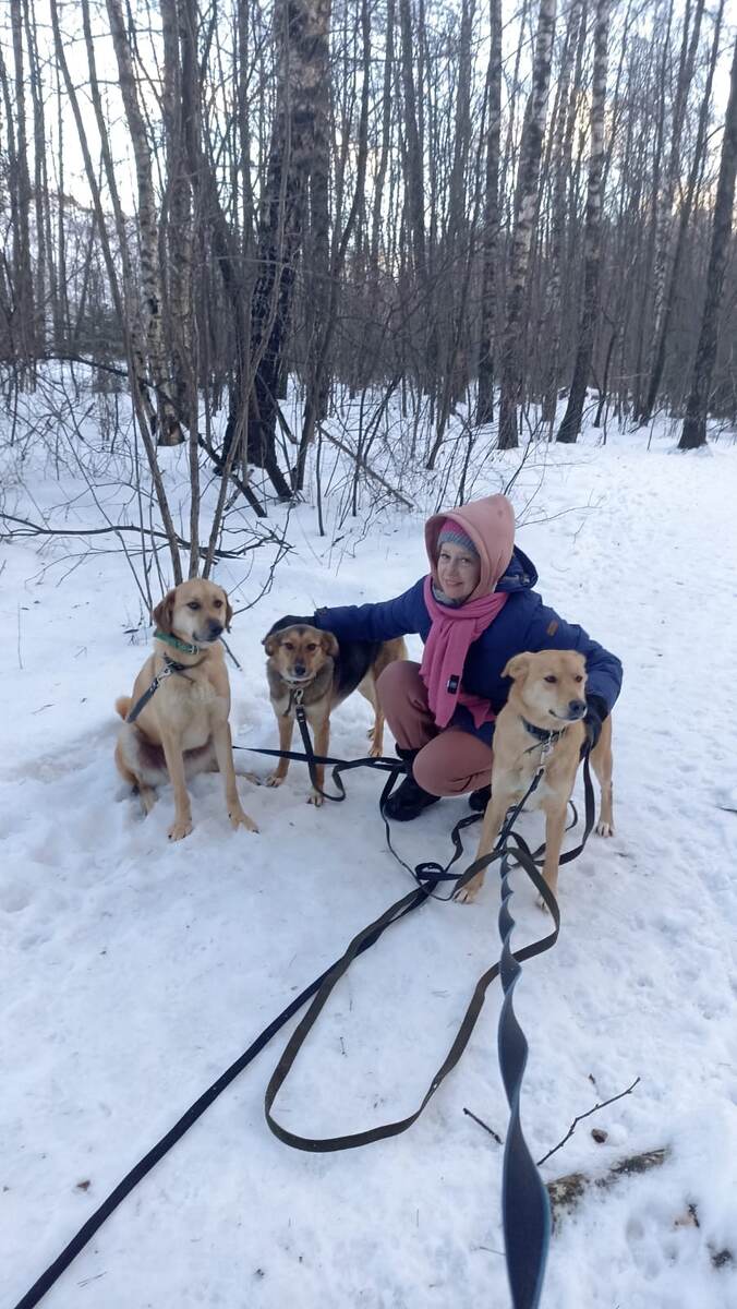 Хорошие девчата, заветные подруги), Фиби, Джуди, Олеся и ЛИса