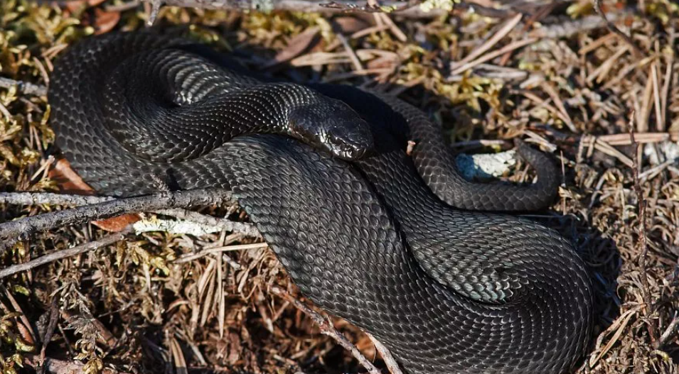 Игорь Подгорный/РИА Новости