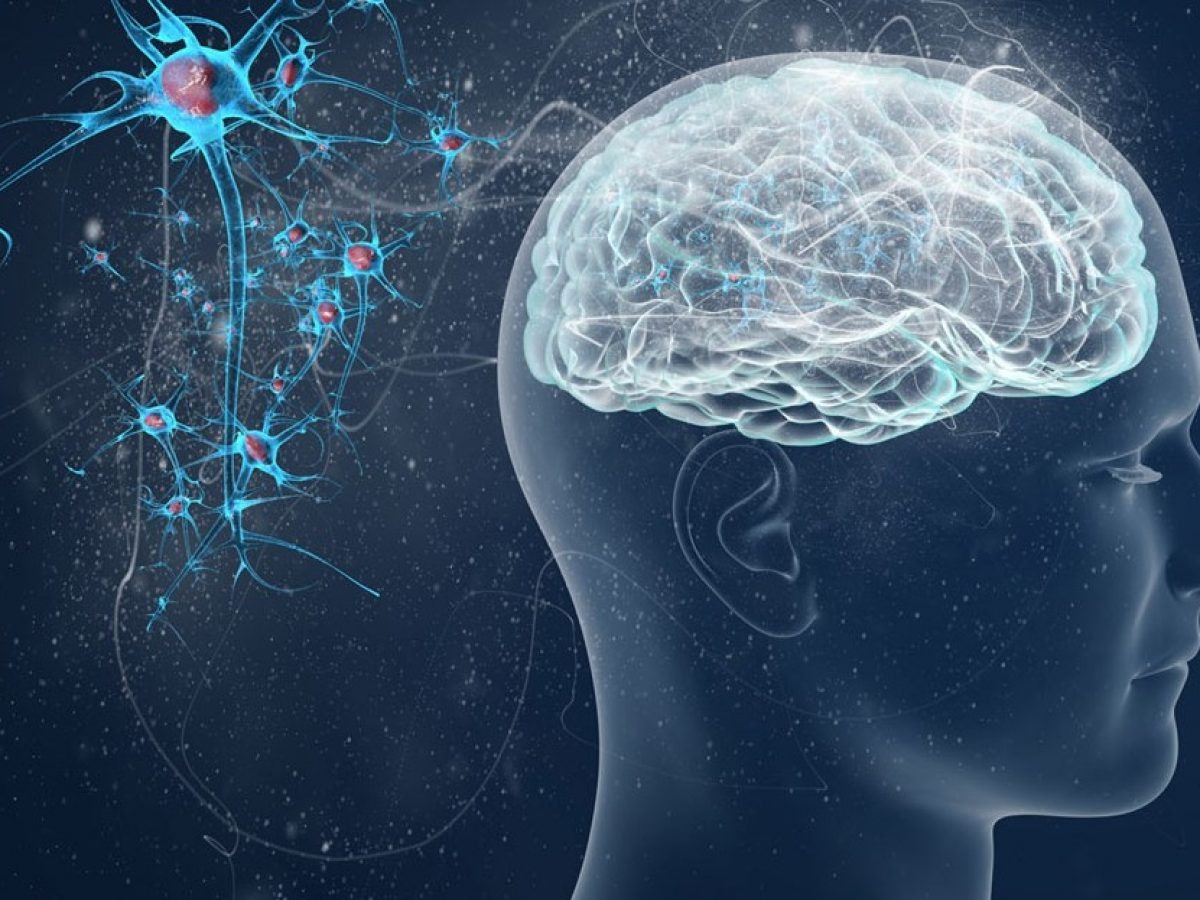 Аннотация:
Каждый психолог регулярно сталкивается с сопротивлением в своей профессиональной практике. Это явление, которое постоянно нас сопровождает в жизни, на работе, на отдыхе.
В данной статье мы раскроем понятие «сопротивление», его виды, некоторые способы работы с сопротивлением в индивидуальной и в групповой психотерапии.
Ключевые слова: сопротивление, вытеснение, тренинг
Annotation: Every psychologist regularly faces resistance in his professional practice. This is a phenomenon that constantly accompanies us in life, at work, on vacation.
In this article we will reveal the concept of "resistance", its types, some ways of working with resistance in individual and group psychotherapy.
Keywords: resistance, displacement, training