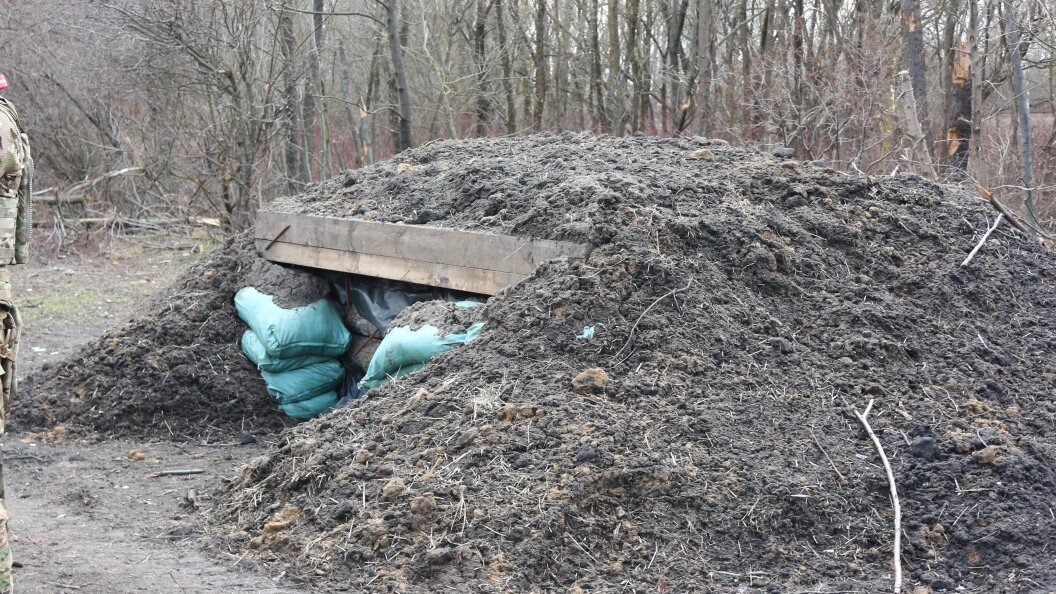    Фото: Konopatov Yuri/Globallookpress