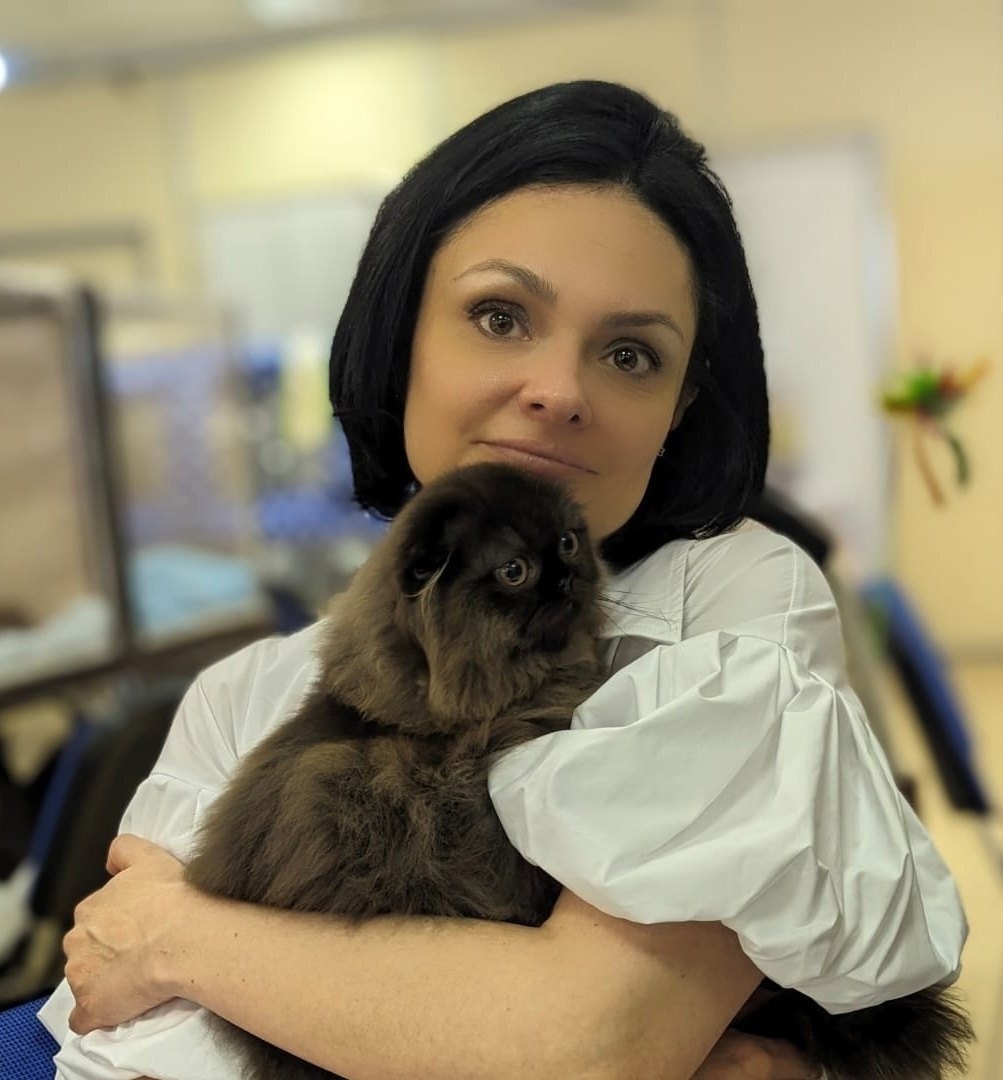 Заводчик шотландских кошек Екатерина Мосшарм