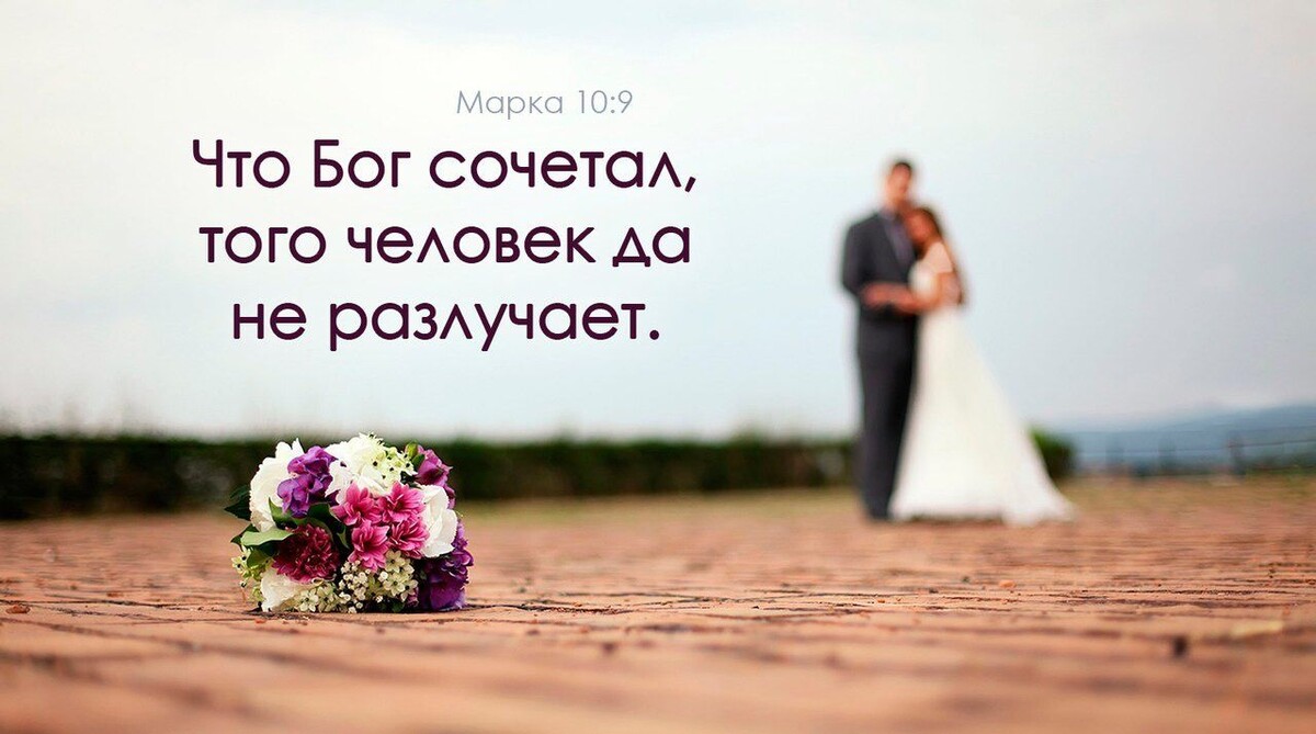 Фото заимствованно