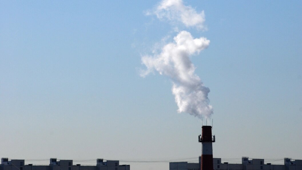    ФОТО: Alexander Legky/Globallookpress