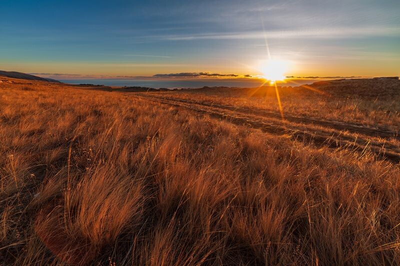 фото из сети