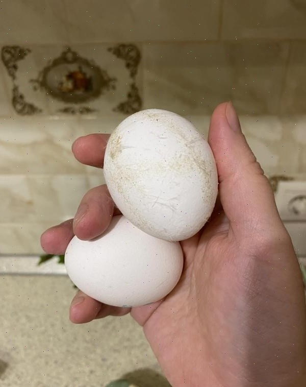 Что что, а яйца у меня всегда есть в холодильнике.