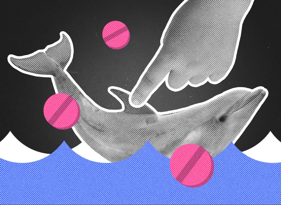 Коллаж с фото: Marti Bug Catcherl | MASTER PHOTO 2017 | Shutterstock | Fotodom