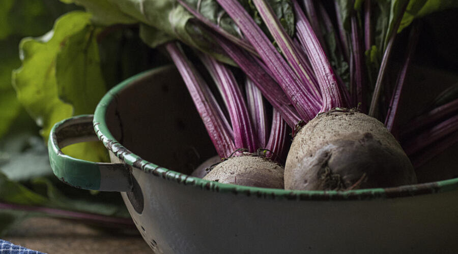     Фото: по лицензии CC0 photorobus.ru