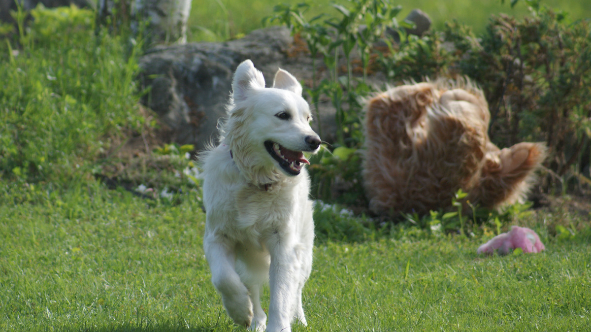 Ура, есть с кем поговорить о саде!!!