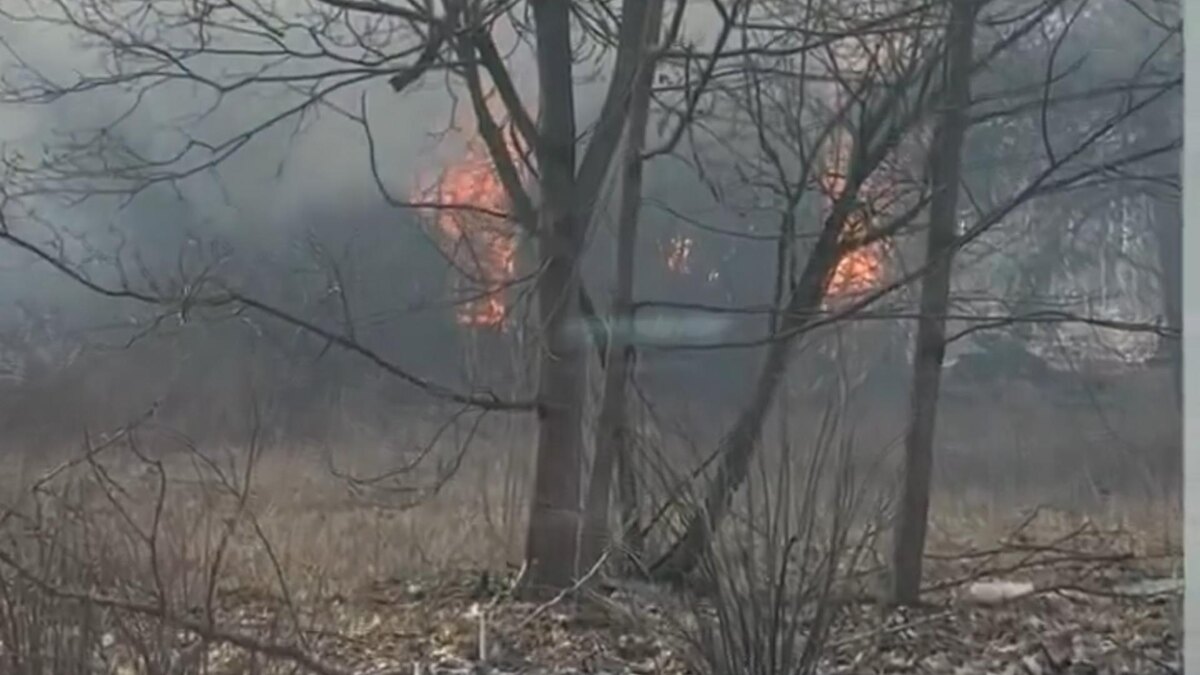    Фото: Соцсети