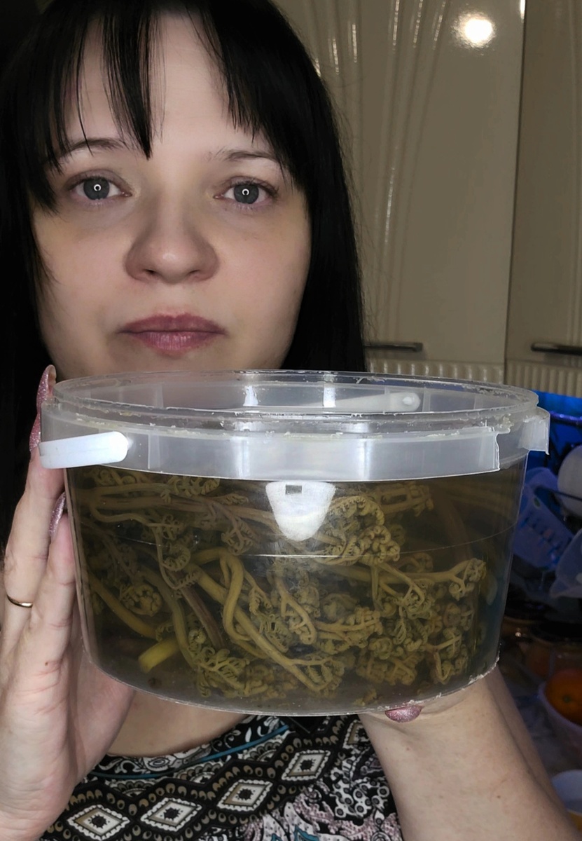 Папоротник продают в магазинах уже солёный