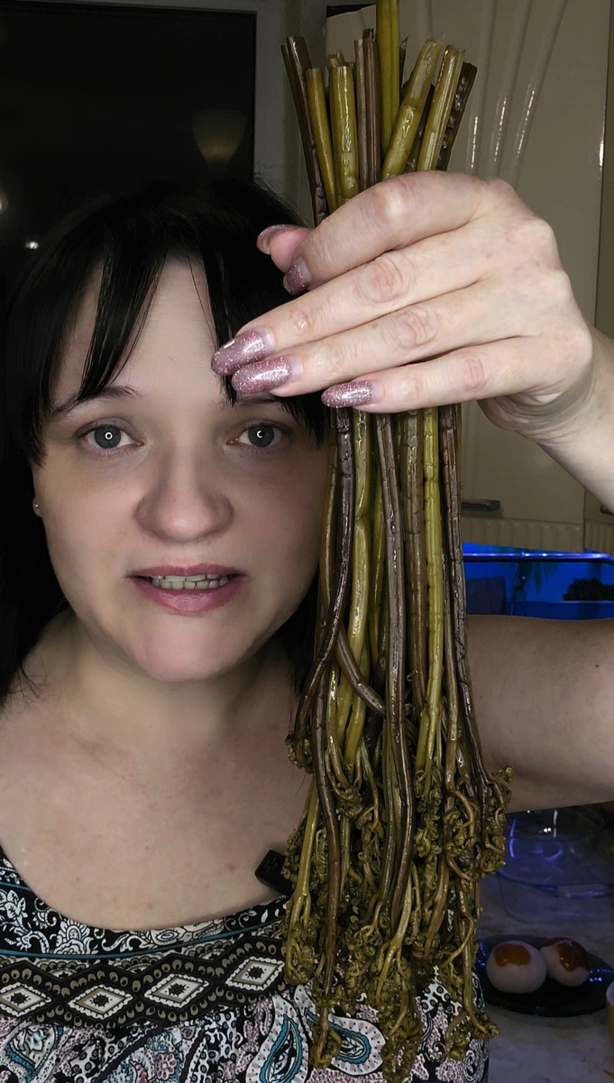 Промытый папоротник