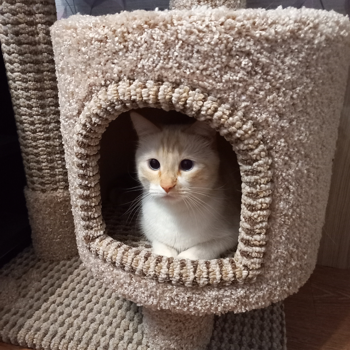 Самое главное - у меня своя жилплощадь!