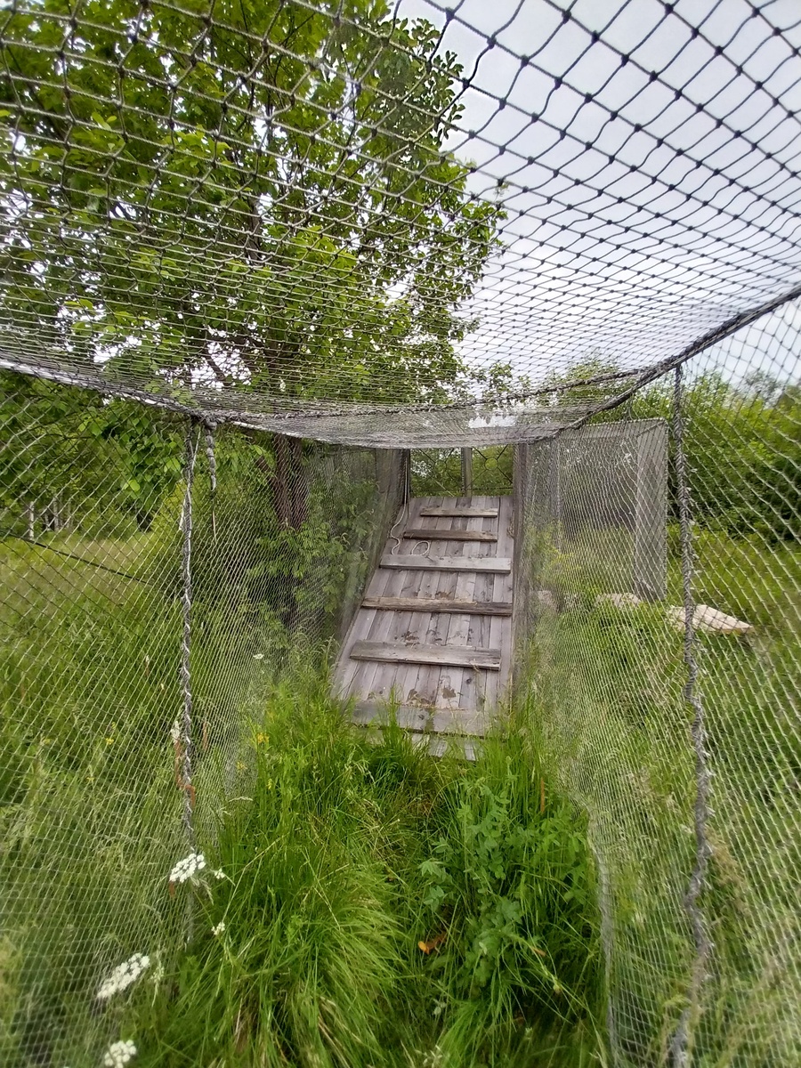 Ловшка для поимки птиц